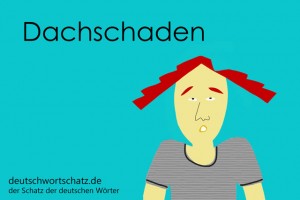 Dachschaden - Deutsch Wortschatz - Wortschatzbilder