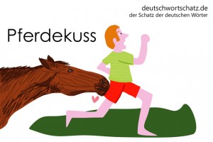 Pferdekuss - Deutsch Wortschatz - Wortschatzbilder
